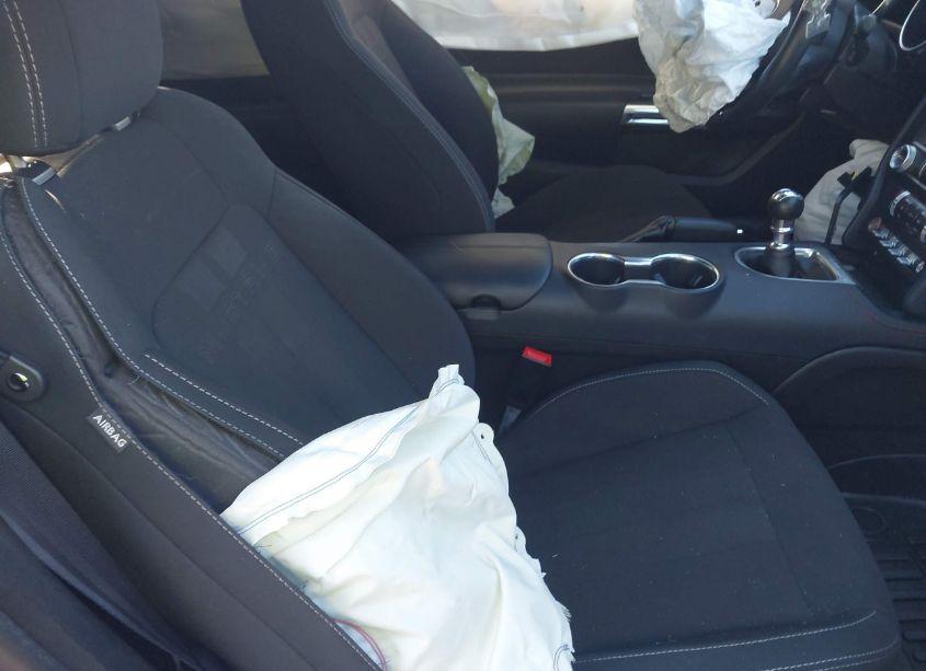 Photo 5 of 2019 Ford Mustang GT (VIN 1FA6P8CF9K5184502)