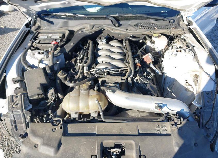 Photo 10 of 2020 Ford Mustang GT FASTBACK (VIN 1FA6P8CF9L5189071)