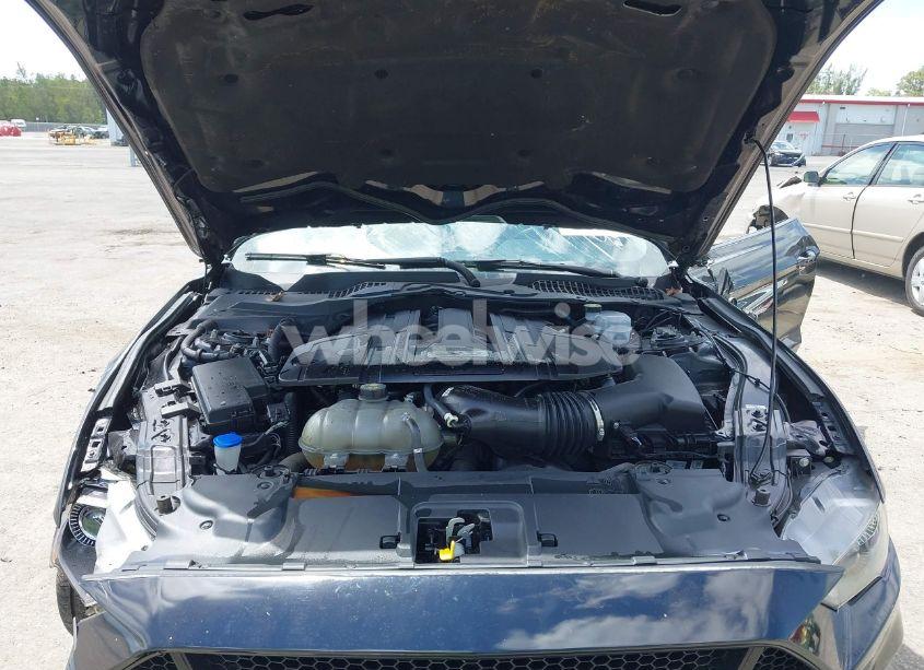 Photo 10 of 2021 Ford Mustang GT (VIN 1FA6P8CF9M5101993)