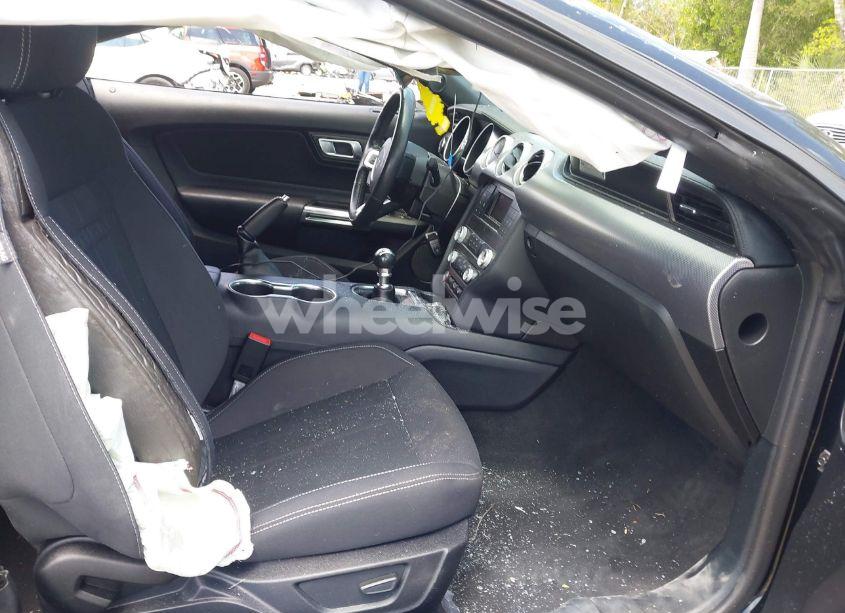 Photo 5 of 2021 Ford Mustang GT (VIN 1FA6P8CF9M5101993)