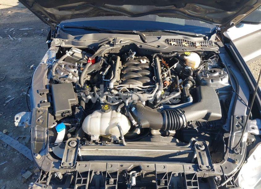 Photo 10 of 2021 Ford Mustang GT PREMIUM FASTBACK (VIN 1FA6P8CF9M5117126)