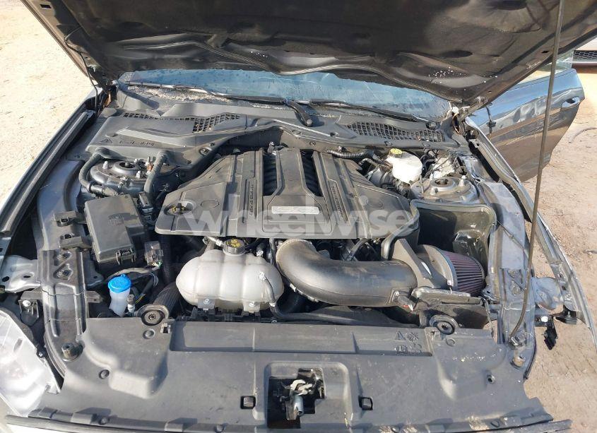 Photo 10 of 2021 Ford Mustang GT FASTBACK (VIN 1FA6P8CF9M5153818)