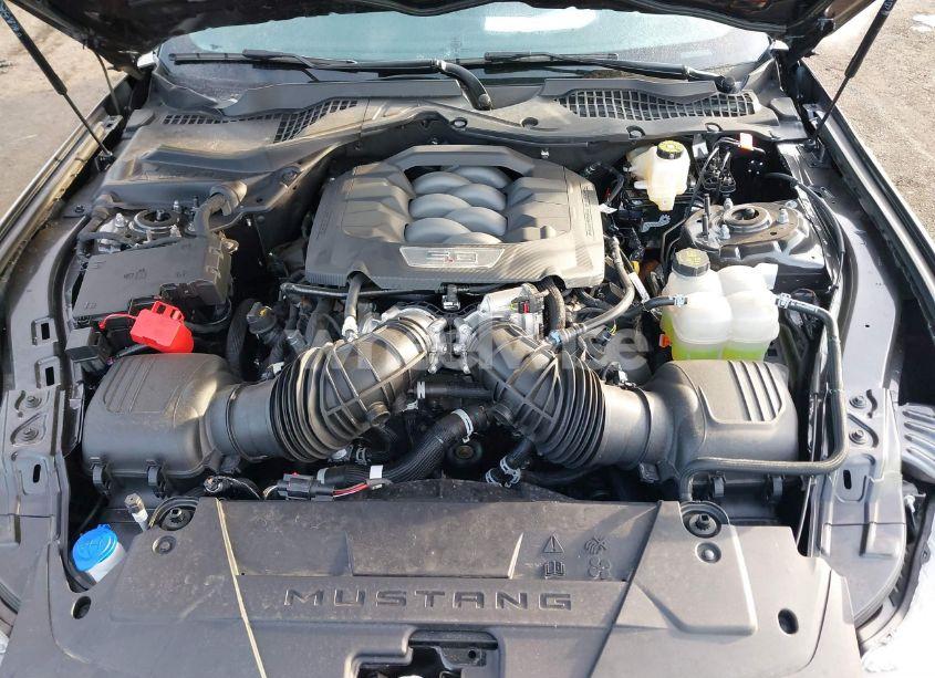 Photo 10 of 2024 Ford Mustang GT FASTBACK (VIN 1FA6P8CF9R5418969)