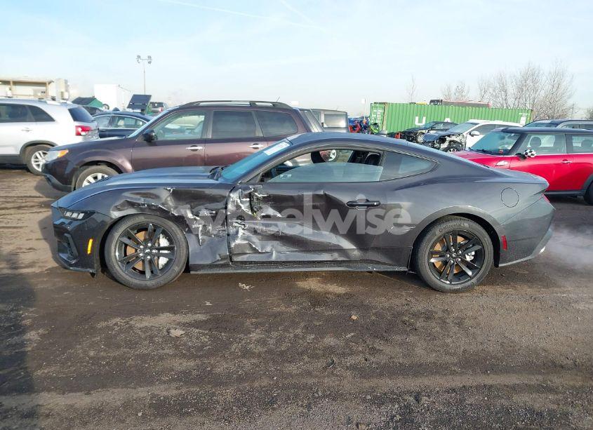 Photo 14 of 2024 Ford Mustang GT FASTBACK (VIN 1FA6P8CF9R5418969)