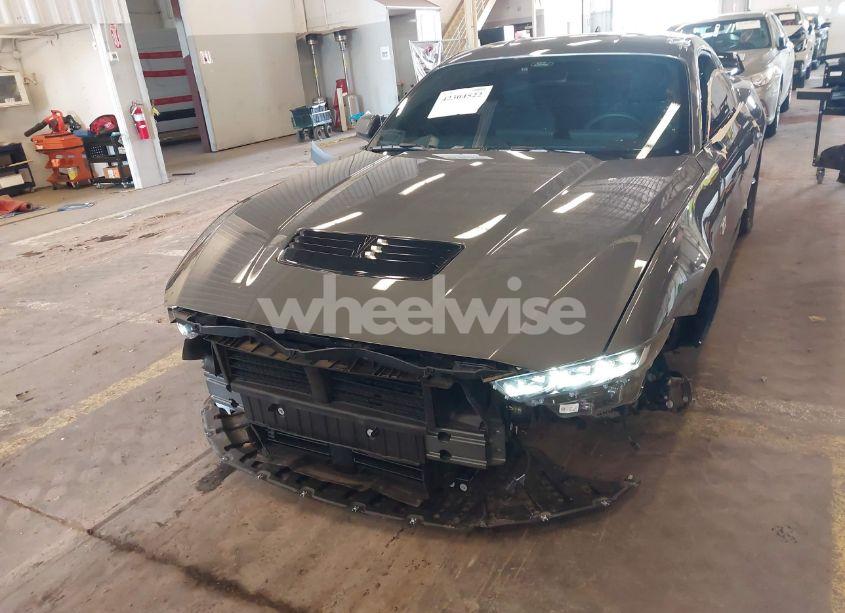 Photo 19 of 2024 Ford Mustang GT FASTBACK (VIN 1FA6P8CF9R5419104)