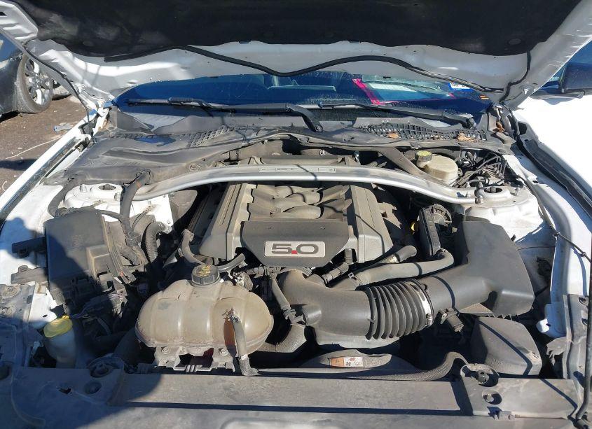 Photo 10 of 2016 Ford Mustang GT PREMIUM (VIN 1FA6P8CFXG5202092)