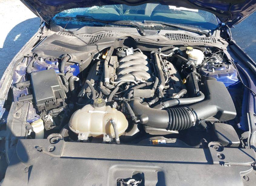 Photo 10 of 2016 Ford Mustang GT (VIN 1FA6P8CFXG5252989)