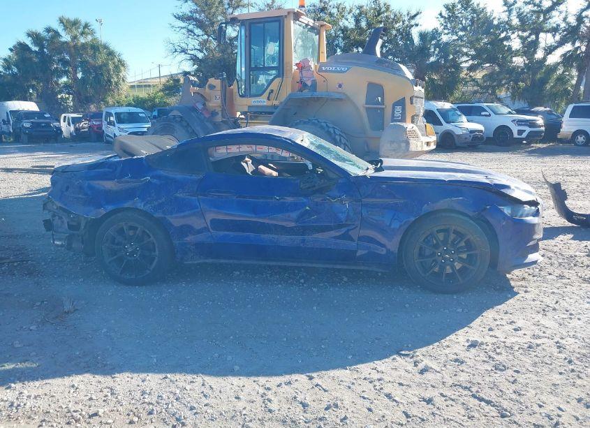 Photo 13 of 2016 Ford Mustang GT (VIN 1FA6P8CFXG5252989)