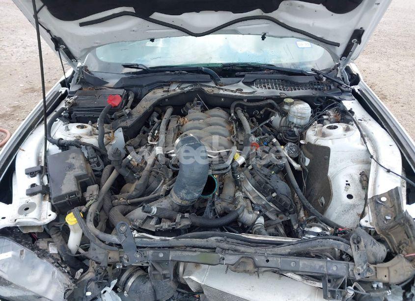 Photo 10 of 2019 Ford Mustang GT (VIN 1FA6P8CFXK5130996)