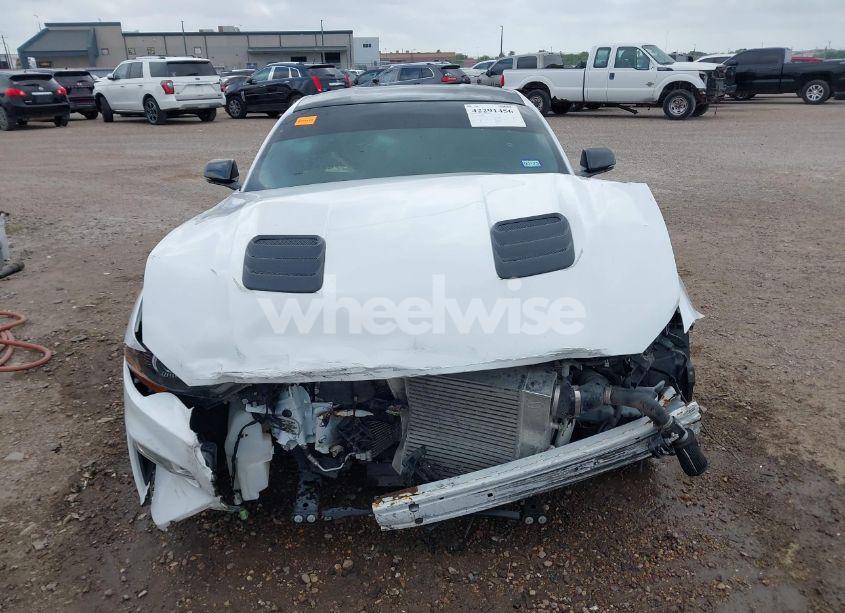 Photo 12 of 2019 Ford Mustang GT (VIN 1FA6P8CFXK5130996)