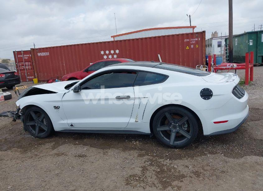 Photo 14 of 2019 Ford Mustang GT (VIN 1FA6P8CFXK5130996)