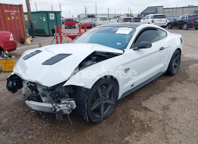 Photo 2 of 2019 Ford Mustang GT (VIN 1FA6P8CFXK5130996)