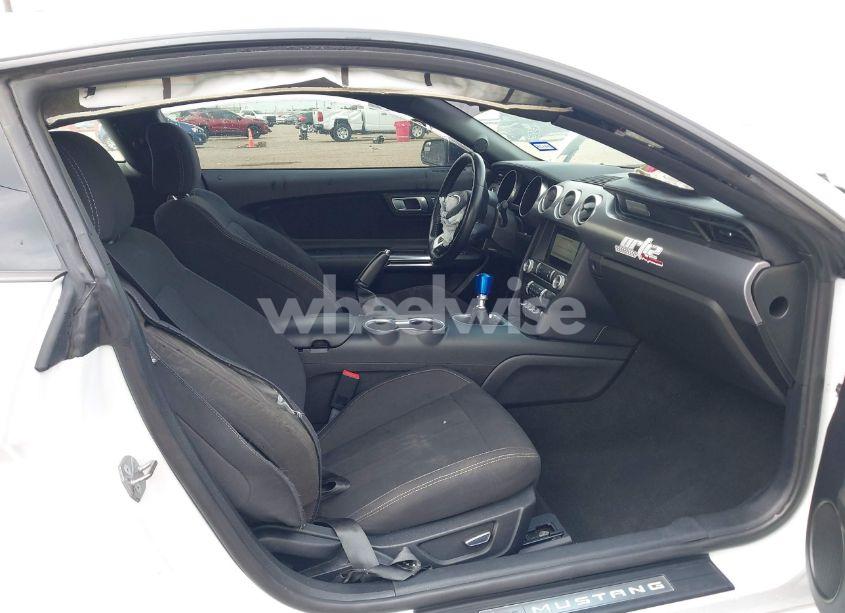 Photo 5 of 2019 Ford Mustang GT (VIN 1FA6P8CFXK5130996)