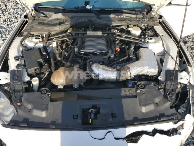 Photo 11 of 2019 FORD MUSTANG GT N/A (VIN 1FA6P8CFXK5147054)