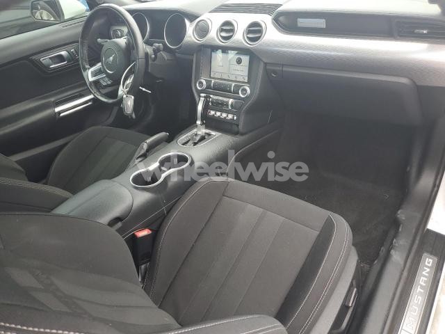 Photo 7 of 2019 FORD MUSTANG GT N/A (VIN 1FA6P8CFXK5147054)