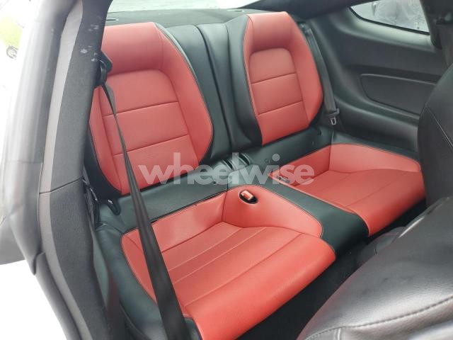 Photo 9 of 2019 FORD MUSTANG GT N/A (VIN 1FA6P8CFXK5166655)