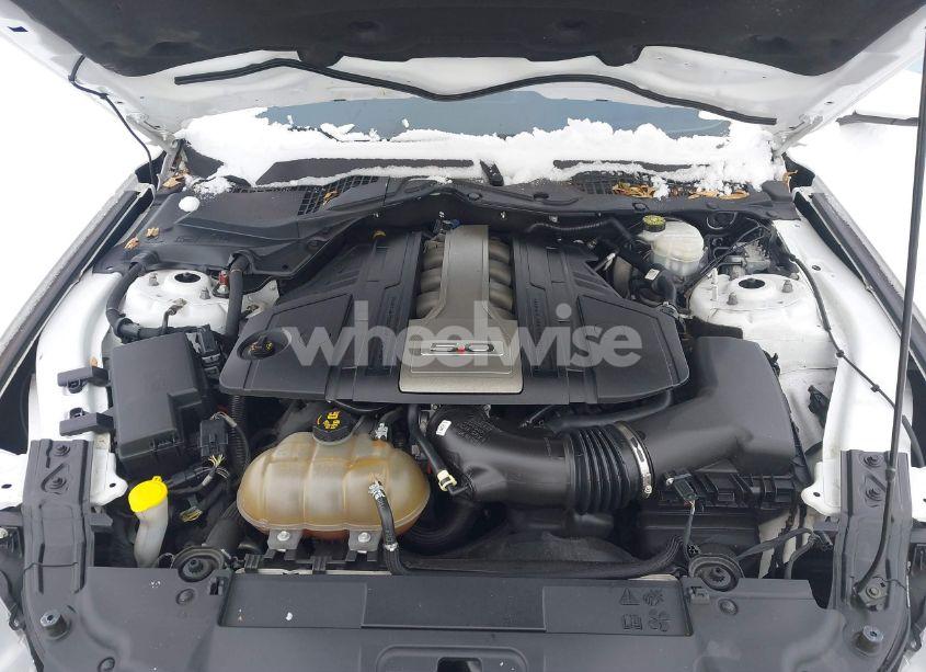 Photo 10 of 2019 Ford Mustang GT PREMIUM (VIN 1FA6P8CFXK5195668)