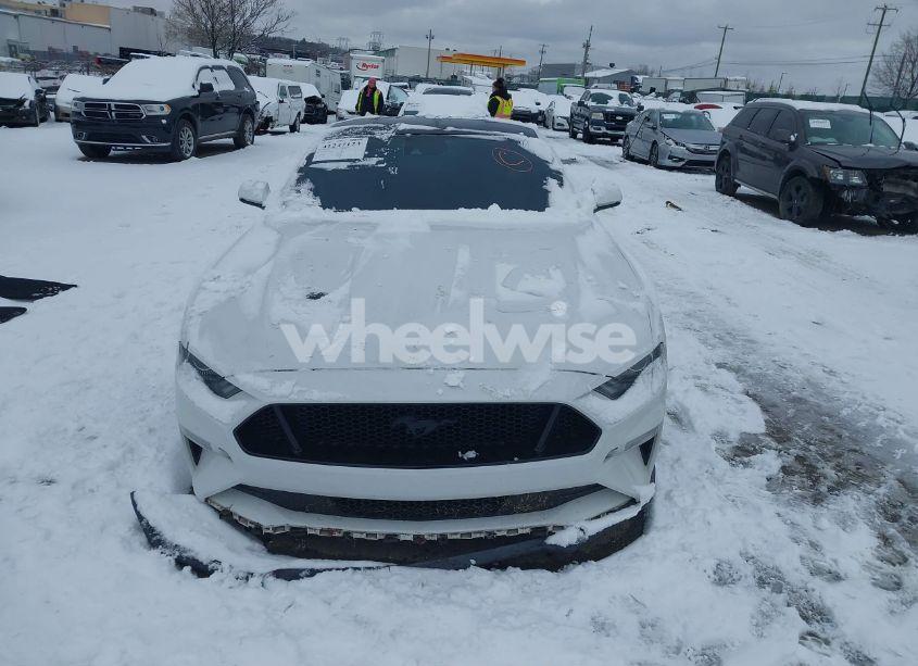 Photo 13 of 2019 Ford Mustang GT PREMIUM (VIN 1FA6P8CFXK5195668)