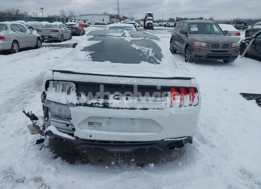 Photo 17 of 2019 Ford Mustang GT PREMIUM (VIN 1FA6P8CFXK5195668)