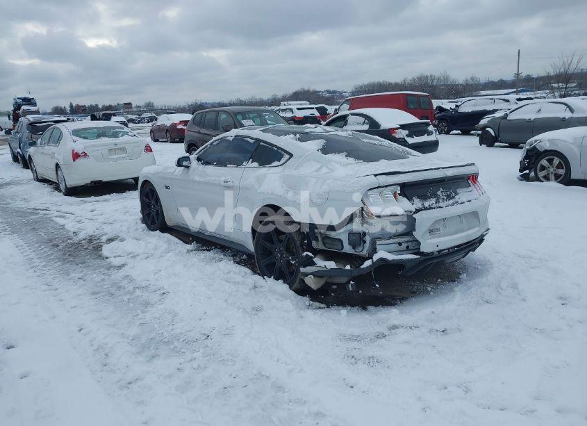Photo 3 of 2019 Ford Mustang GT PREMIUM (VIN 1FA6P8CFXK5195668)