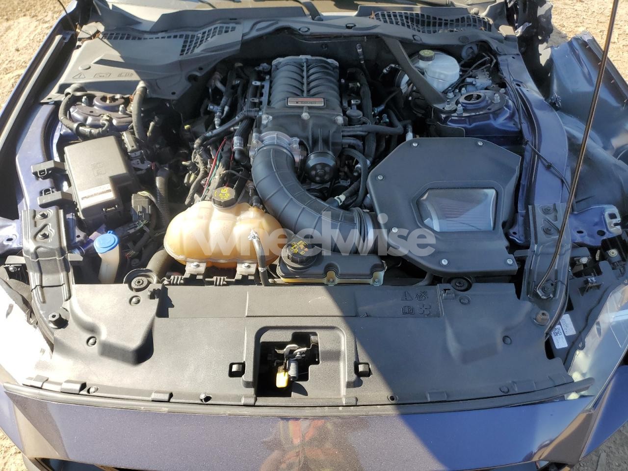 Photo 11 of 2020 FORD MUSTANG GT (VIN 1FA6P8CFXL5124021)