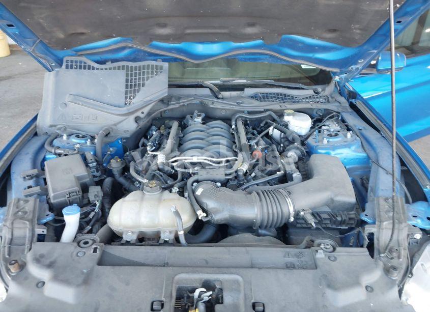 Photo 10 of 2021 Ford Mustang GT FASTBACK (VIN 1FA6P8CFXM5101257)