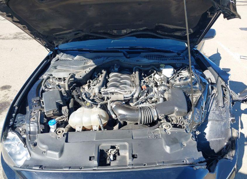 Photo 10 of 2022 Ford Mustang GT FASTBACK (VIN 1FA6P8CFXN5133689)