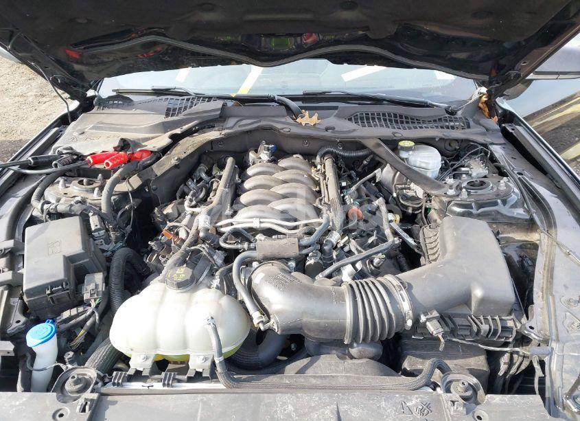 Photo 10 of 2022 Ford Mustang GT PREMIUM FASTBACK (VIN 1FA6P8CFXN5146779)