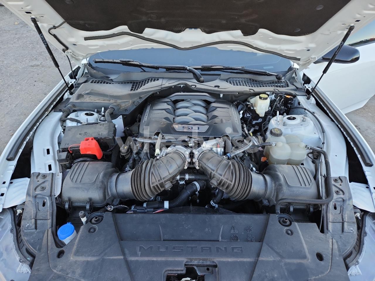 Photo 11 of 2024 FORD MUSTANG GT (VIN 1FA6P8CFXR5404529)