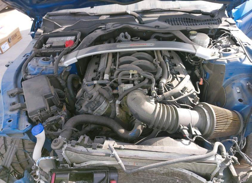 Photo 10 of 2019 Ford Shelby GT350 (VIN 1FA6P8JZ0K5553390)