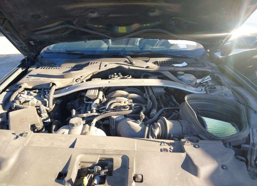 Photo 10 of 2019 Ford Mustang BULLITT (VIN 1FA6P8K04K5503785)