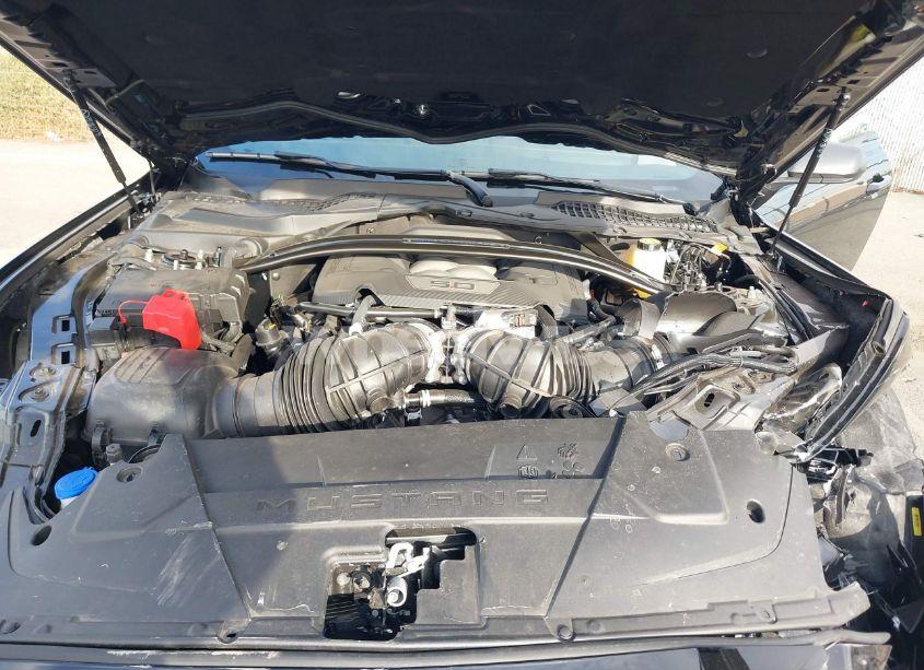 Photo 10 of 2024 Ford Mustang DARK HORSE FASTBACK (VIN 1FA6P8R06R5503819)
