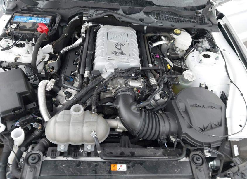 Photo 10 of 2020 Ford Mustang SHELBY GT500 FASTBACK (VIN 1FA6P8SJ2L5505206)