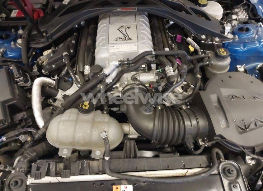 Photo 10 of 2020 Ford Mustang SHELBY GT500 FASTBACK (VIN 1FA6P8SJ7L5503886)