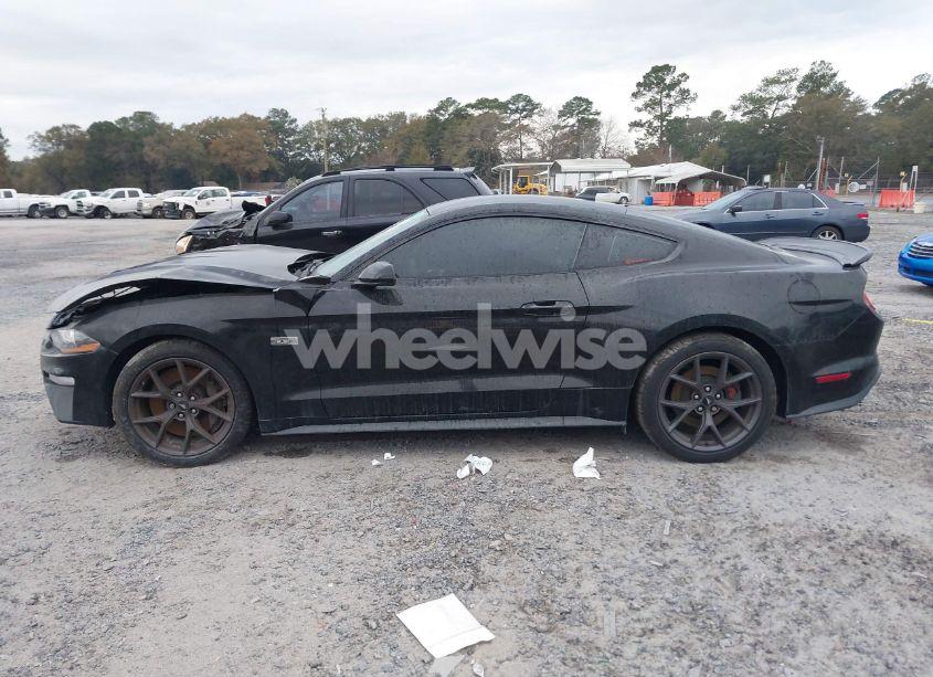 Photo 13 of 2022 Ford Mustang ECOBOOST FASTBACK (VIN 1FA6P8TD3N5132799)