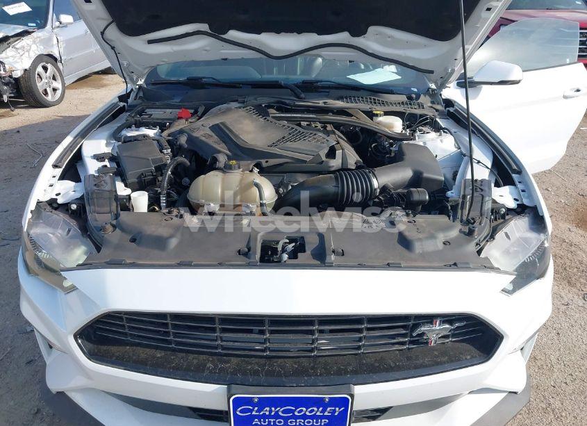 Photo 10 of 2021 Ford Mustang ECOBOOST PREMIUM FASTBACK (VIN 1FA6P8TD5M5133239)