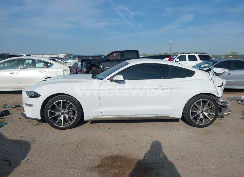 Photo 14 of 2021 Ford Mustang ECOBOOST PREMIUM FASTBACK (VIN 1FA6P8TD5M5133239)