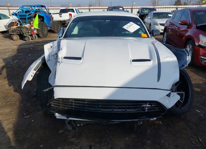 Photo 13 of 2020 Ford Mustang ECOBOOST FASTBACK (VIN 1FA6P8TD7L5191870)