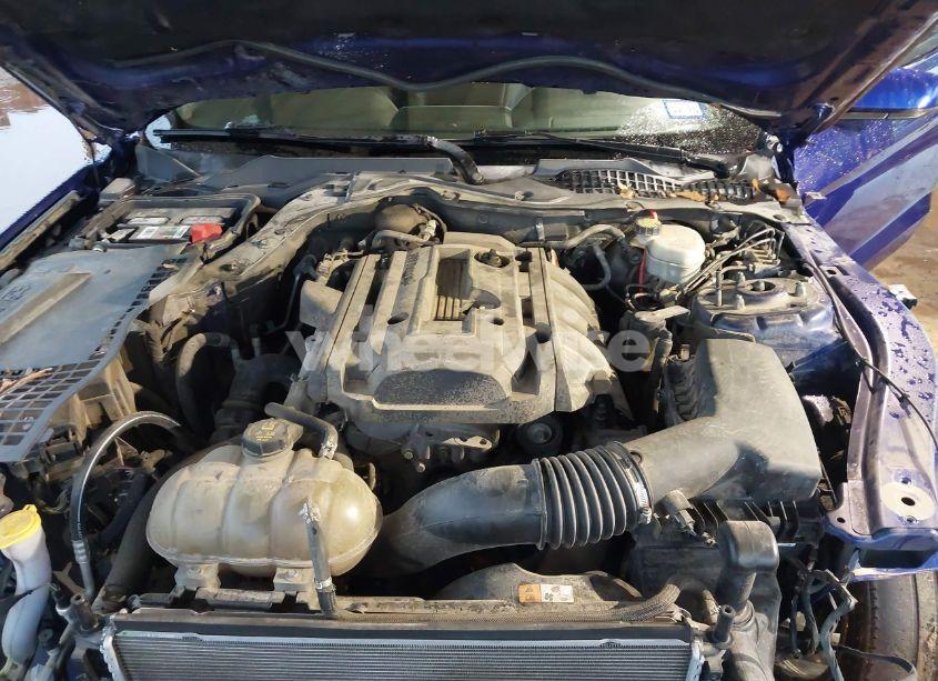 Photo 10 of 2015 Ford Mustang ECOBOOST (VIN 1FA6P8TH0F5422728)