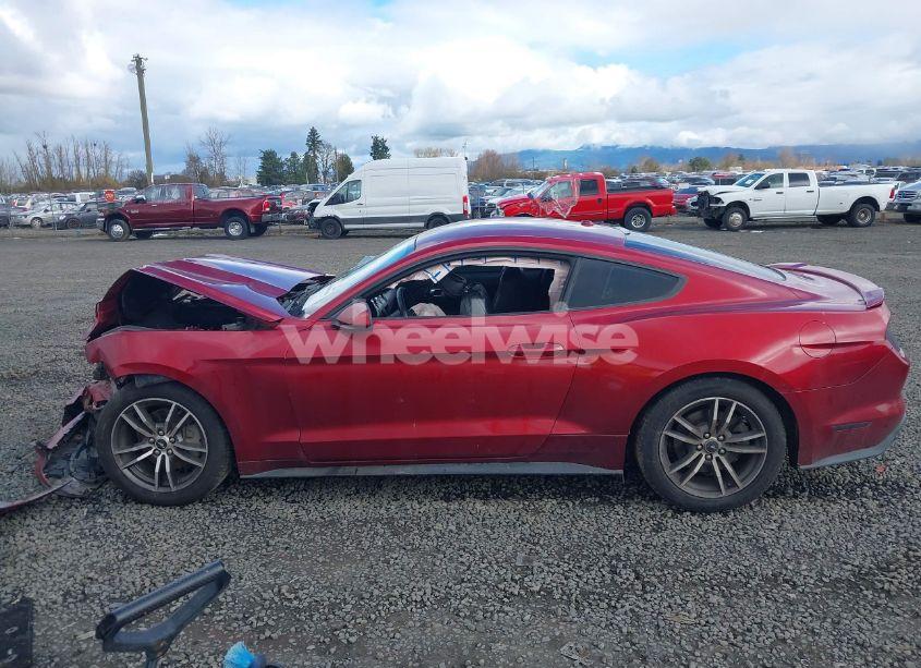 Photo 13 of 2016 Ford Mustang ECOBOOST (VIN 1FA6P8TH0G5203043)