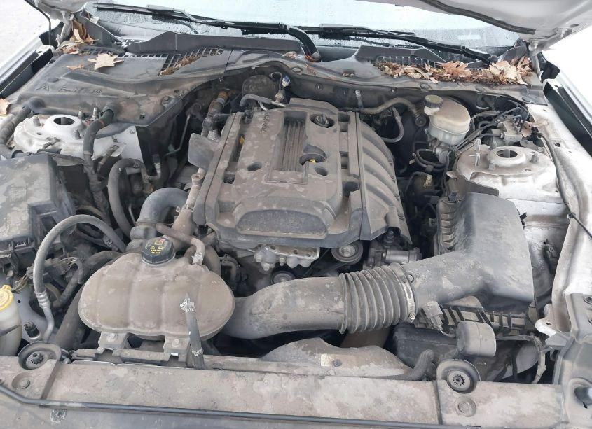 Photo 10 of 2016 Ford Mustang ECOBOOST (VIN 1FA6P8TH0G5225236)