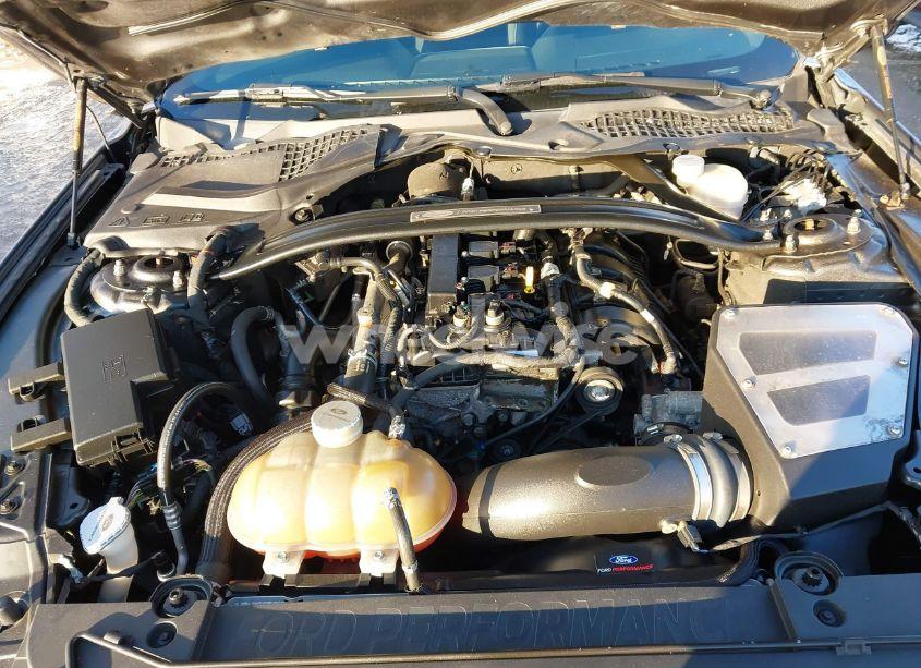 Photo 10 of 2017 Ford Mustang ECOBOOST (VIN 1FA6P8TH0H5236836)