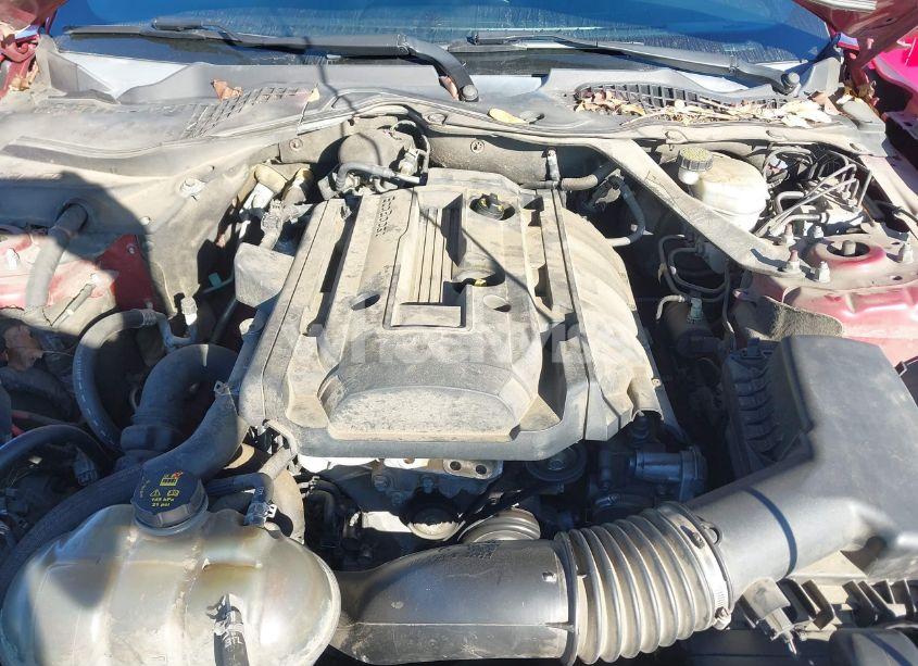 Photo 10 of 2017 Ford Mustang ECOBOOST (VIN 1FA6P8TH0H5289472)