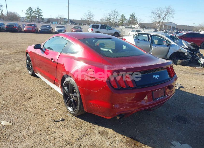 Photo 3 of 2017 Ford Mustang ECOBOOST (VIN 1FA6P8TH0H5289472)