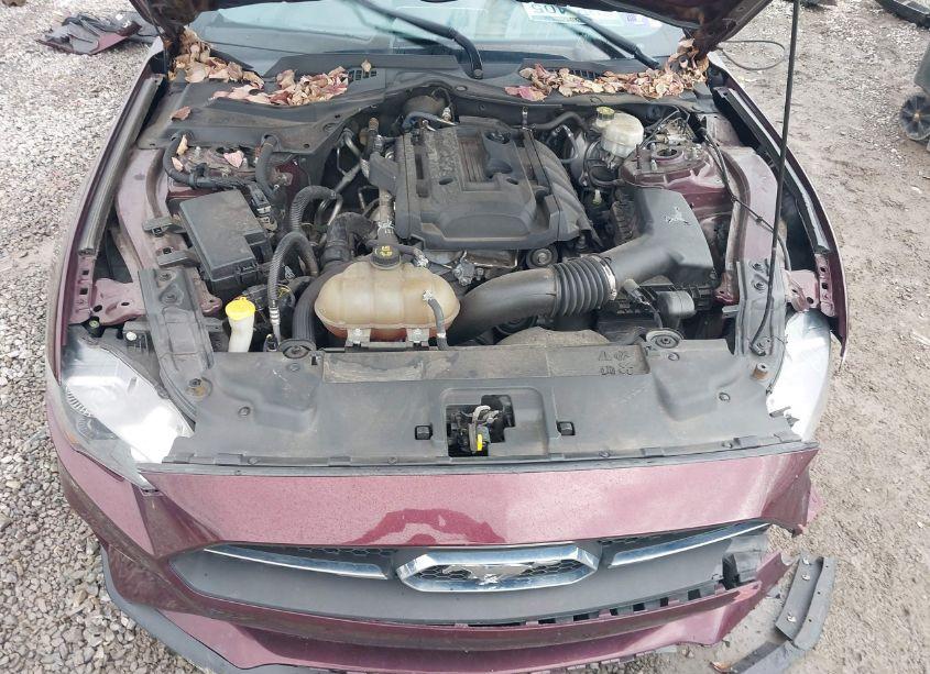 Photo 10 of 2018 Ford Mustang ECOBOOST (VIN 1FA6P8TH0J5162680)