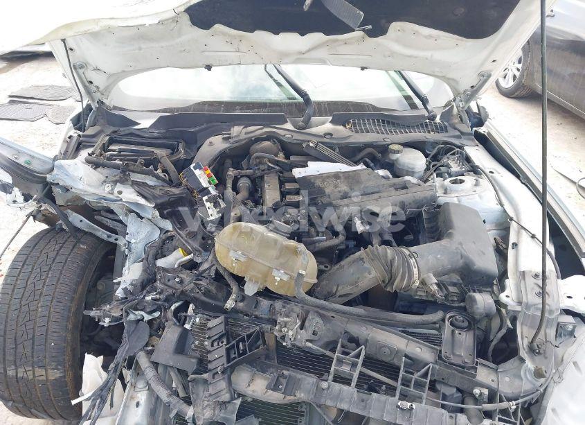 Photo 10 of 2019 Ford Mustang ECOBOOST (VIN 1FA6P8TH0K5118454)