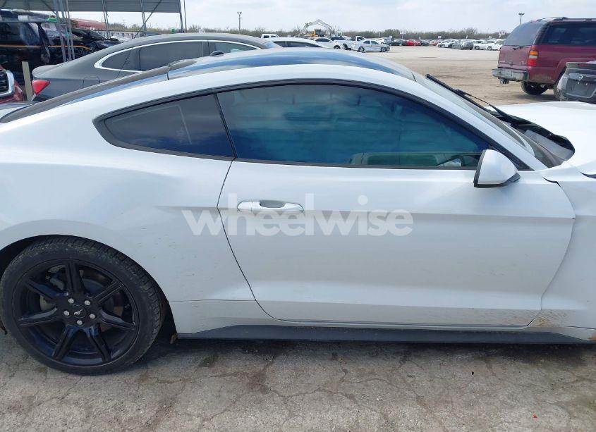 Photo 12 of 2019 Ford Mustang ECOBOOST (VIN 1FA6P8TH0K5118454)