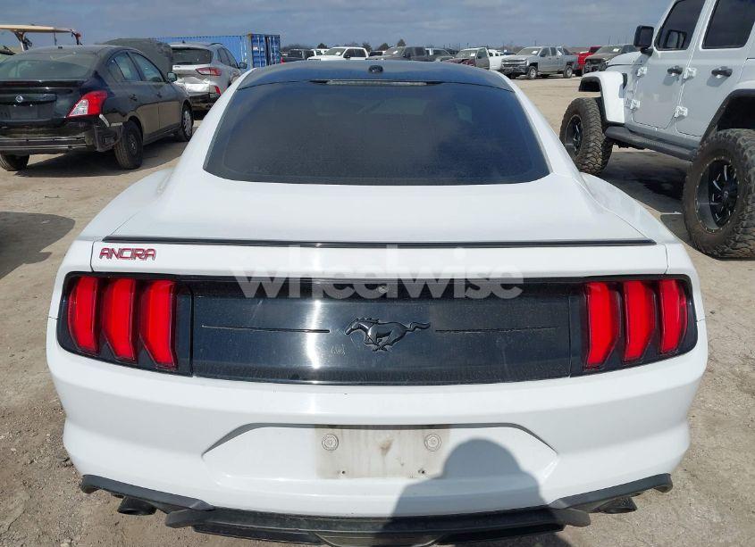 Photo 15 of 2019 Ford Mustang ECOBOOST (VIN 1FA6P8TH0K5118454)