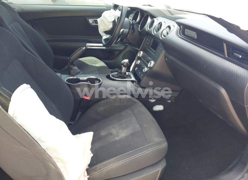 Photo 5 of 2019 Ford Mustang ECOBOOST (VIN 1FA6P8TH0K5118454)