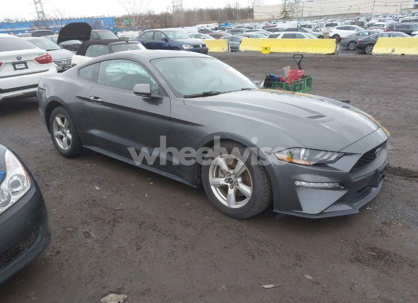 2019 Ford Mustang ECOBOOST (VIN 1FA6P8TH0K5141149) main photo